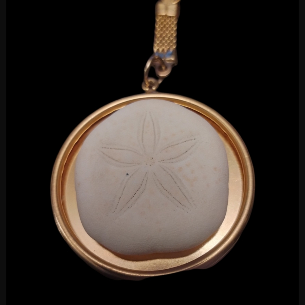 Spirit Sand Dollar Keychain